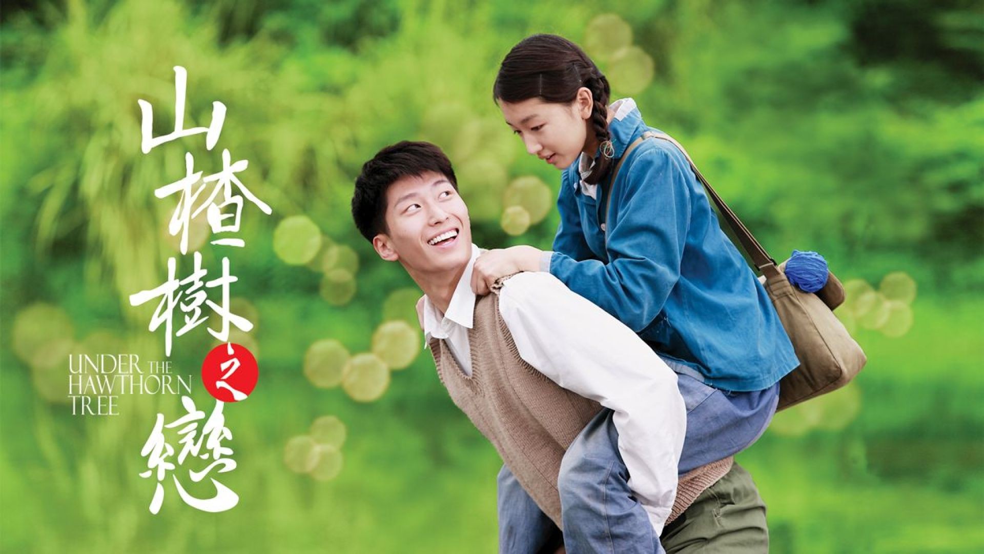 Under the Hawthorn Tree (2010) Chinese BluRay 480P